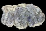 Purple/Gray Fluorite Cluster - Marblehead Quarry, Ohio #81195-1